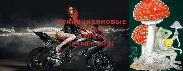 а пвп мука Верея