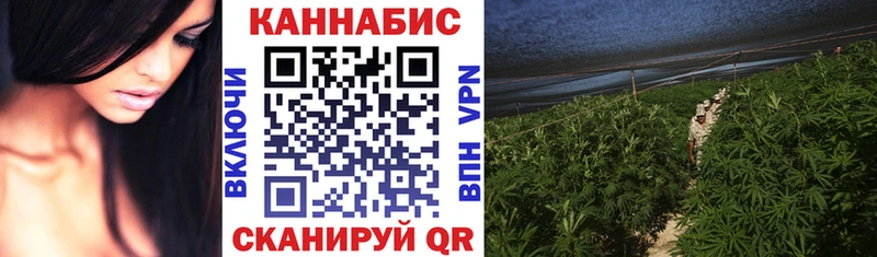 наркотики  Полтавская  Шишки марихуана Ganja 